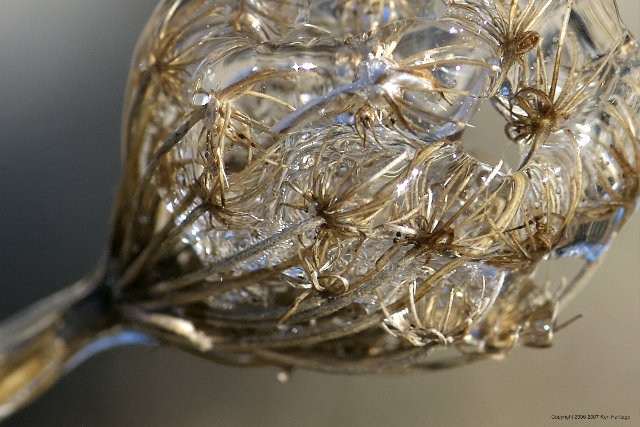 Ice Sceptre